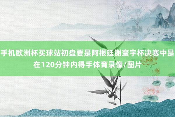 手机欧洲杯买球站初盘要是阿根廷谢寰宇杯决赛中是在120分钟内得手体育录像/图片