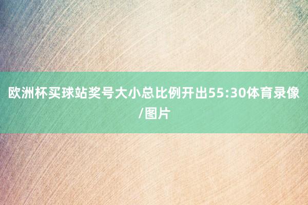 欧洲杯买球站奖号大小总比例开出55:30体育录像/图片