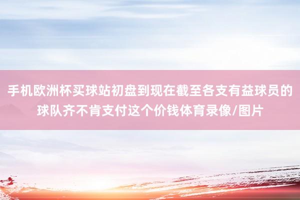 手机欧洲杯买球站初盘到现在截至各支有益球员的球队齐不肯支付这个价钱体育录像/图片