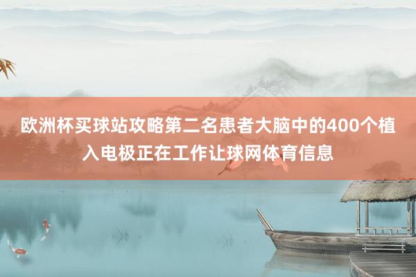 欧洲杯买球站攻略第二名患者大脑中的400个植入电极正在工作让球网体育信息