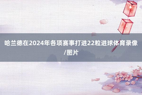 哈兰德在2024年各项赛事打进22粒进球体育录像/图片