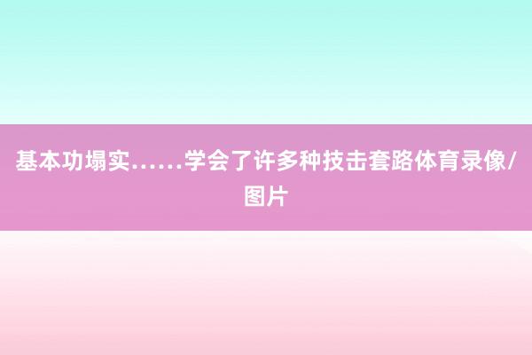 基本功塌实……学会了许多种技击套路体育录像/图片