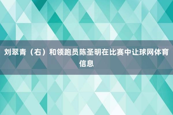 刘翠青（右）和领跑员陈圣明在比赛中让球网体育信息