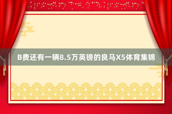 B费还有一辆8.5万英镑的良马X5体育集锦