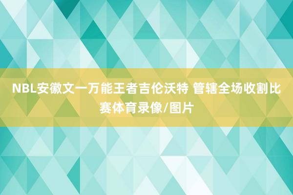 NBL安徽文一万能王者吉伦沃特 管辖全场收割比赛体育录像/图片