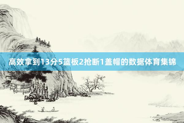 高效拿到13分5篮板2抢断1盖帽的数据体育集锦